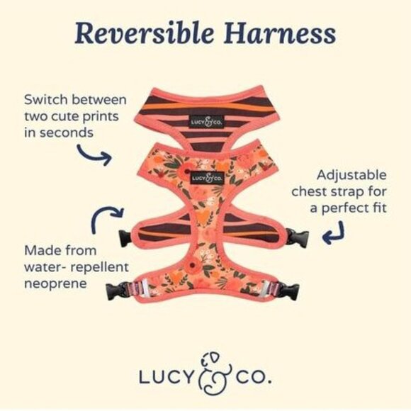 Lucy & Co Reversible Dog Harness - Picture 3 of 6